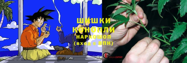 винт Гусь-Хрустальный