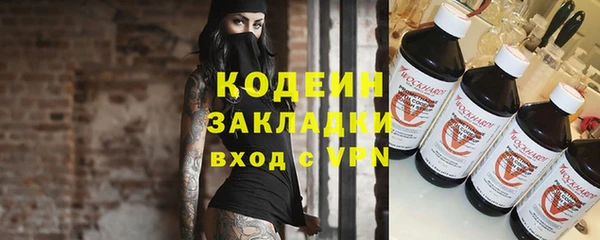 гидра Надым