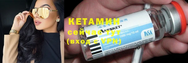 гидра Надым