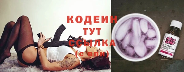 гидра Надым