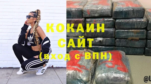 гидра Надым