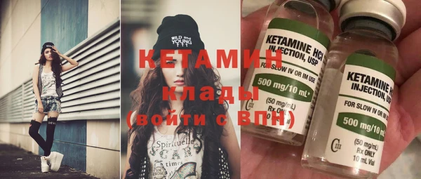 гидра Надым