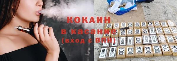 гидра Надым