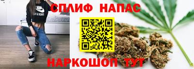 прущие грибы Балаково