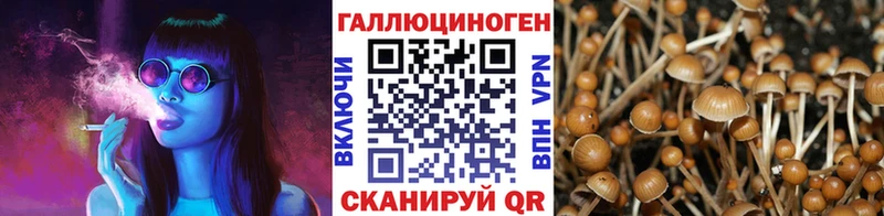 Галлюциногенные грибы мухоморы  Курчалой 