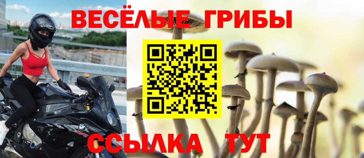 КОКАИН  Курчалой  Марихуана  ГАШ  Alpha PVP СОЛЬ кристаллы  Гашиш  Меф МЯУ МЯУ кристаллы 