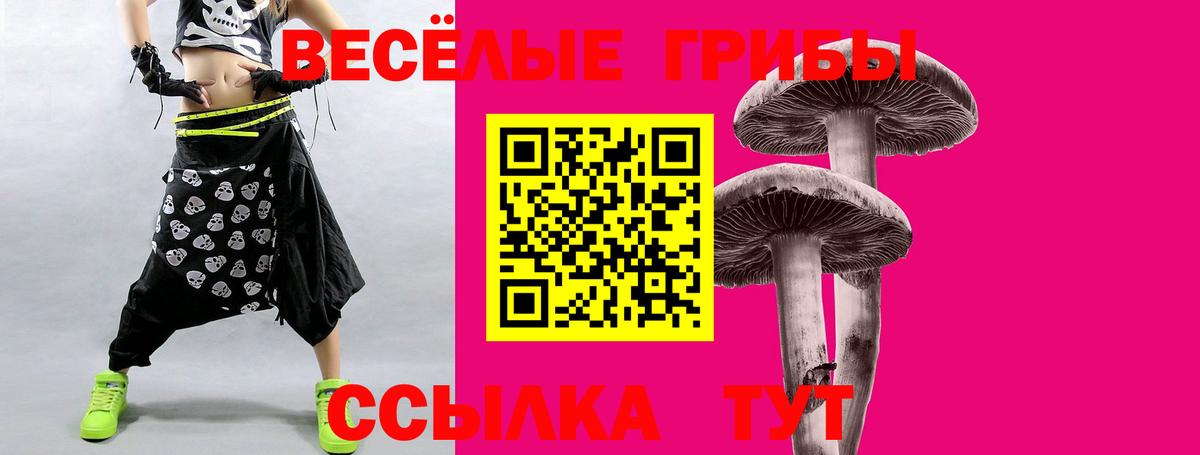 Курчалой  Псилоцибиновые грибы прущие грибы  Псилоцибиновые грибы GOLDEN TEACHER  Вход с VPN 